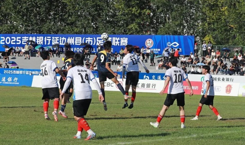 gmD, entit, 战胜和龙队